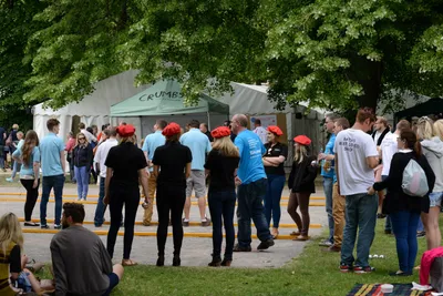 DSC_2594 (Large).JPG